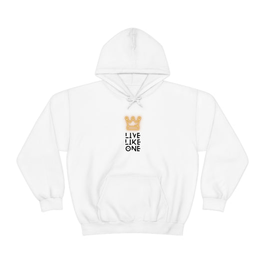 Urban King Unisex Heavy Blend™ Hooded Sweatshirt